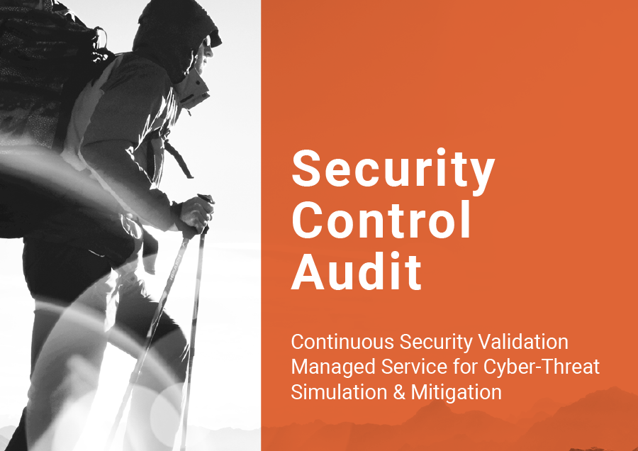 Security Control Audit (SCA) Service